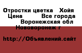 Отростки цветка  “Хойя“ › Цена ­ 300 - Все города  »    . Воронежская обл.,Нововоронеж г.